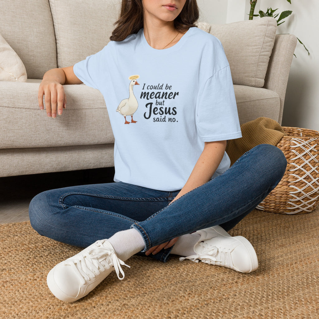 Christian Goose T‑Shirt — "I Could Be Meaner but Jesus Said No"