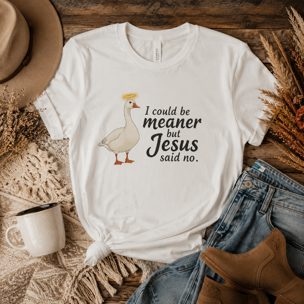 I Could Be Meaner but Jesus Said No Tee